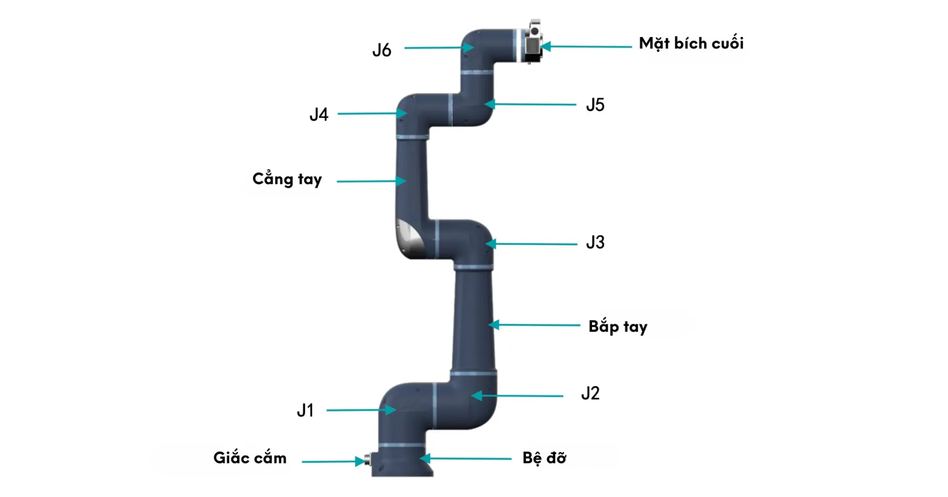 Cobot Estun phù hợp cho nhà xưởng nhỏ và dây chuyền linh hoạt Cobot Estun phù hợp cho nhà xưởng nhỏ và dây chuyền linh hoạt