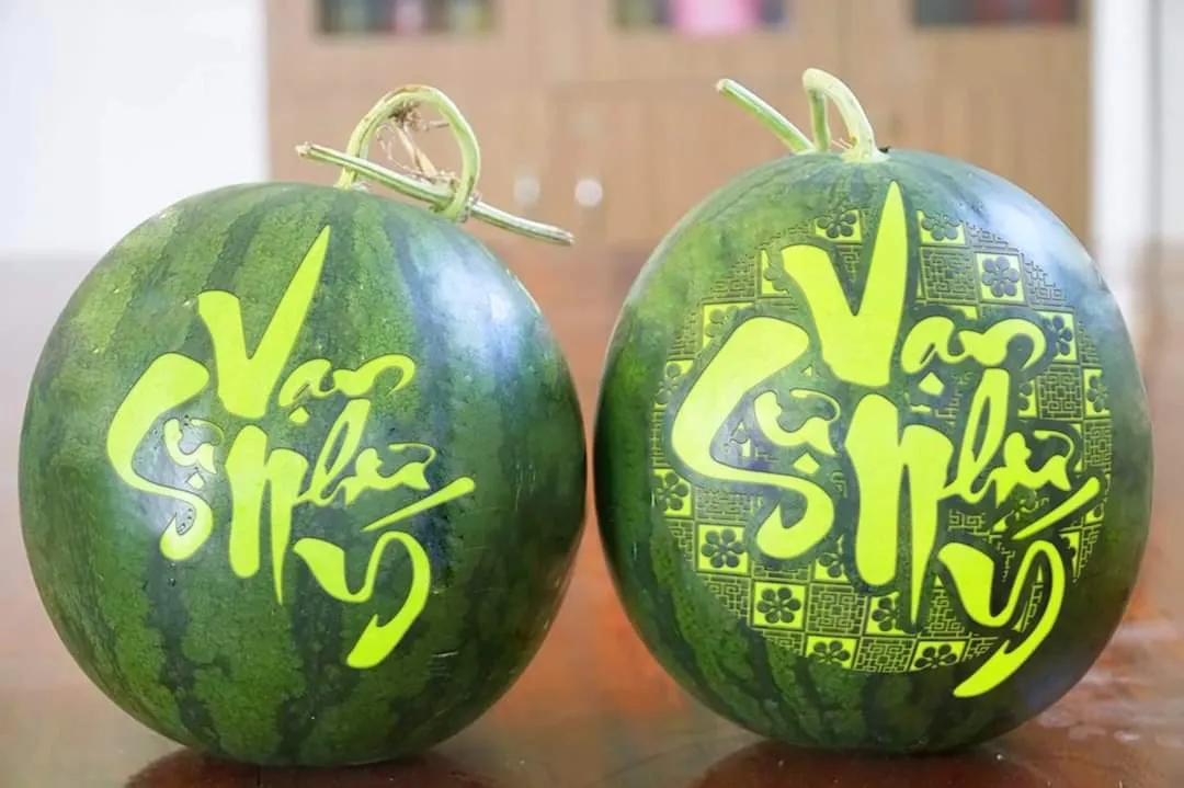 Máy khắc laser dưa hấu khắc chữ trực tiếp lên vỏ quả sắc nét