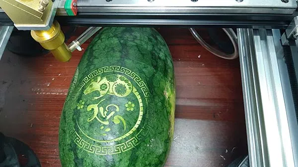 Máy khắc laser dưa hấu dùng khắc logo thương hiệu lên trái cây