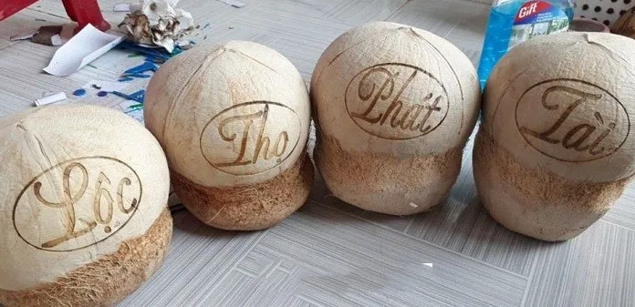 Máy khắc laser hoa quả mini khắc chữ, hình ảnh trên dưa hấu, táo, cam