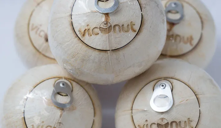 Máy khắc laser hoa quả mini dùng khắc logo thương hiệu trên trái cây